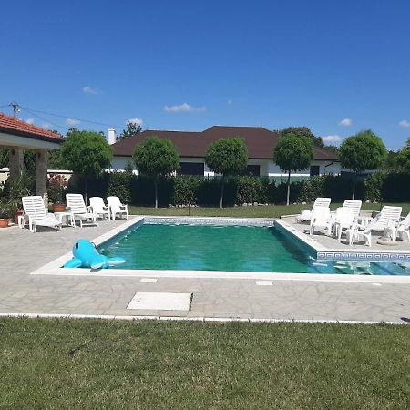 Vila Eleonora Beograd Екстериор снимка