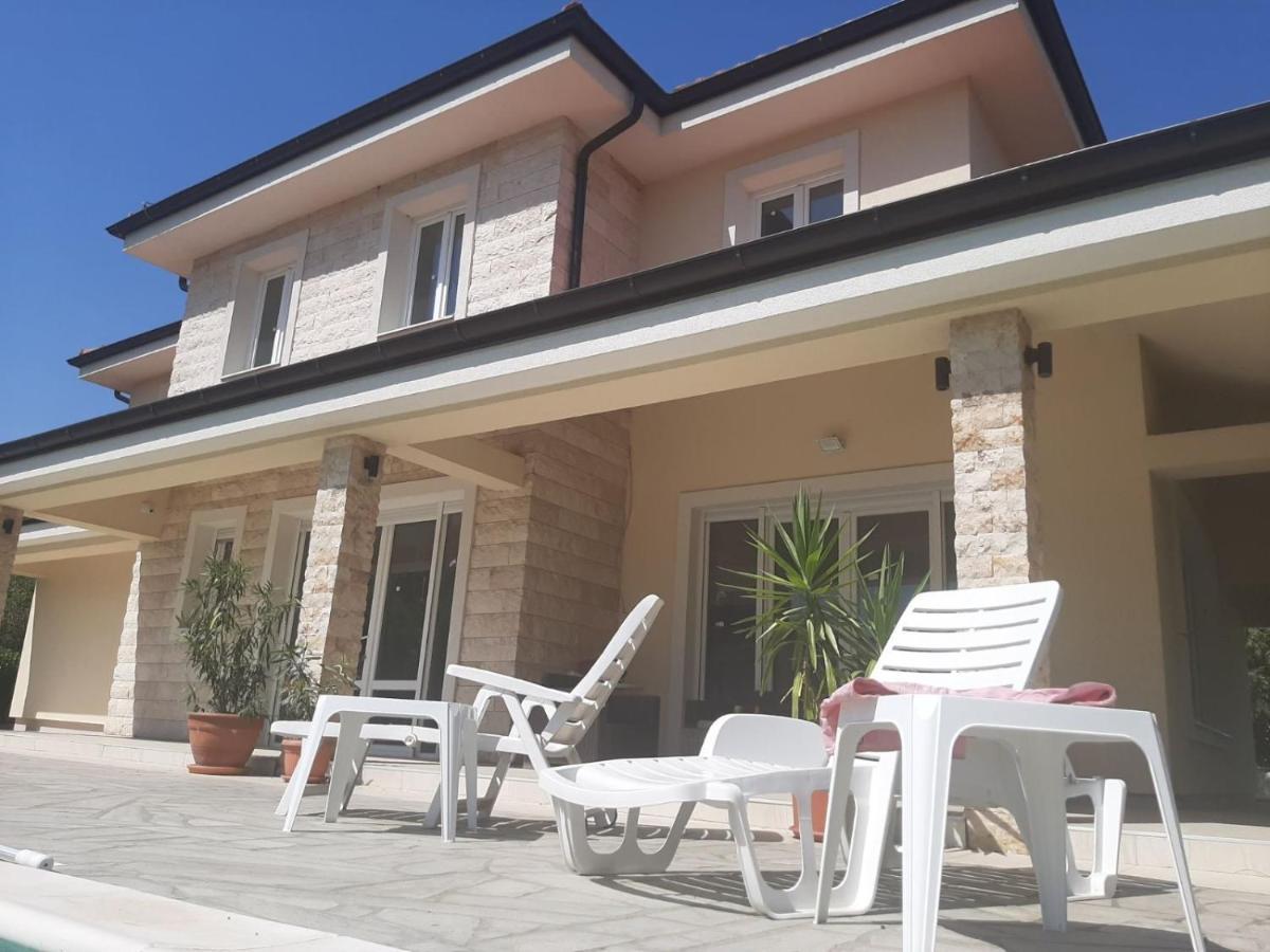 Vila Eleonora Beograd Екстериор снимка